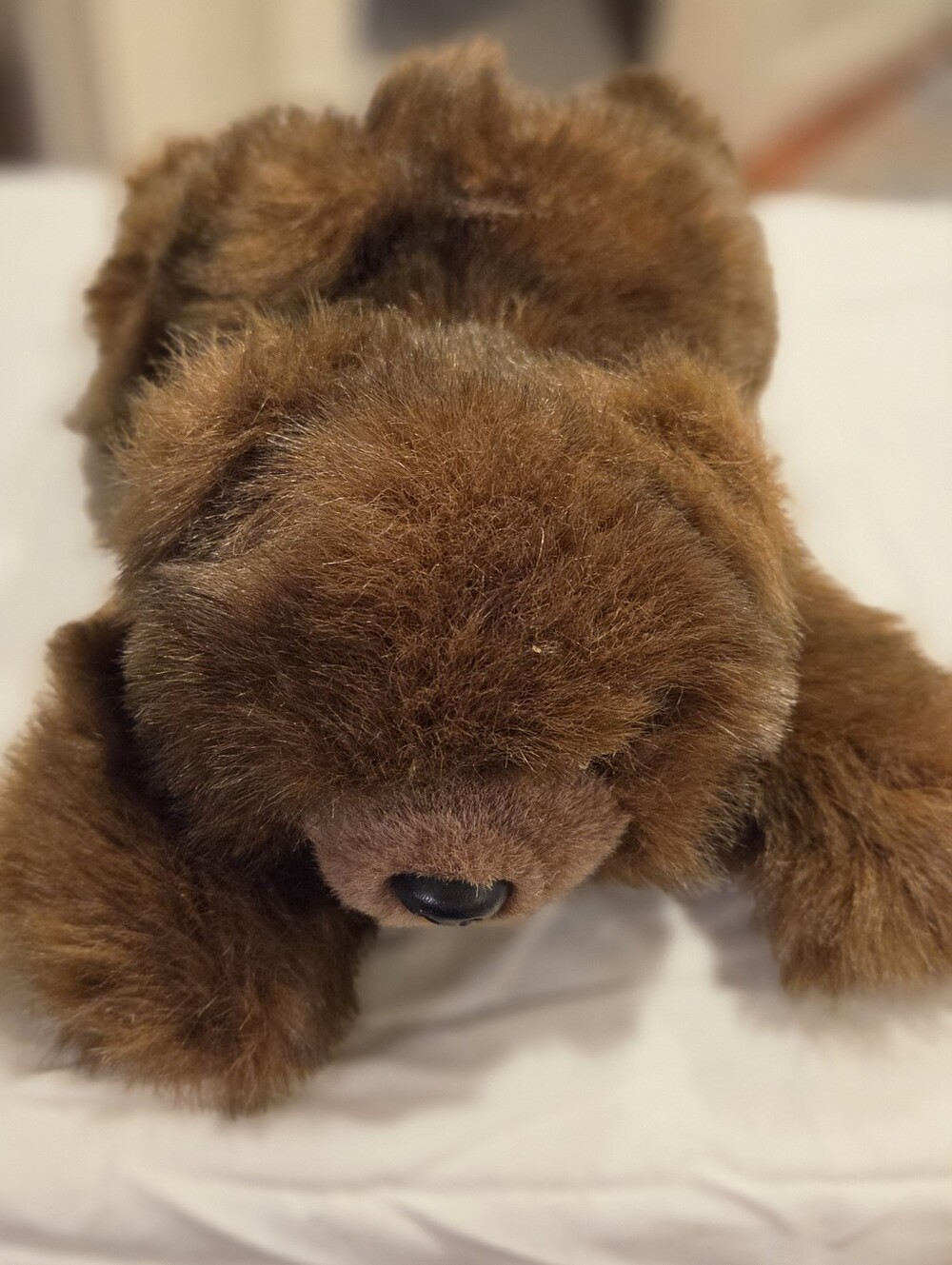 Ty Baby Paws Beanie Buddy Brown Plush Bear with Heart Tag